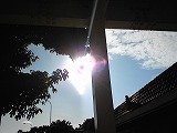 暑っ！ 2008/12/13 15:32:14
