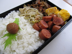 パパ弁
