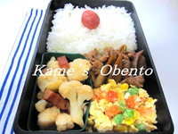 肉入りきんぴらのお弁当 2009/12/30 10:10:33