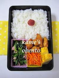 ササミフライのお弁当 2010/04/14 10:30:47