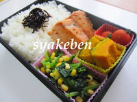 鮭のお弁当 2010/06/04 05:37:51