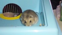 初手乗り♪ 2012/01/20 00:15:04