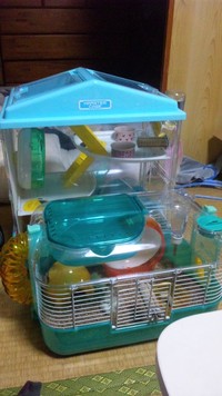 みほのお引越し☆ 2012/01/25 22:11:35