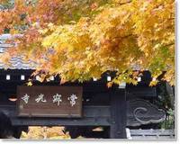 京都旅行記2010 ~2日目~ 2010/12/08 22:09:39
