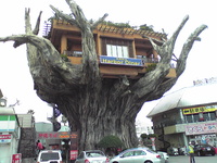 Naha Harbor　Diner
