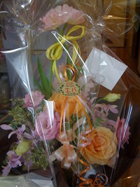 感謝 2009/02/27 10:03:53