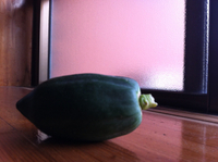 パパイヤと蟹 2012/10/28 17:24:29