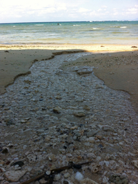 海へと続く道 2012/12/05 13:53:00