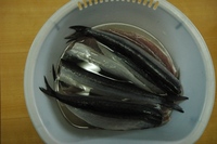 カマスの一夜干し