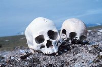 来年の今日、人類滅亡 2011/12/23 09:21:27