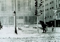 本日は世界が破滅する日だそうです2 2011/05/22 09:20:24