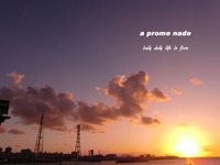 夕焼けの海 2009/11/16 09:44:18