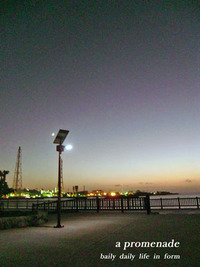 灯り 2009/11/18 11:07:46