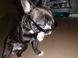 いえぇ～いっ