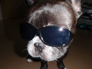 いえぇ～いっ