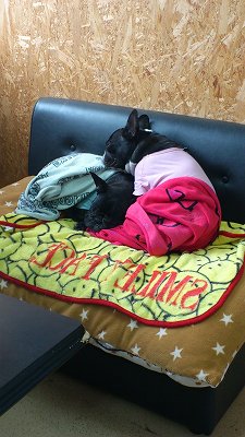 さいきん