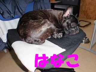 おひるねちぇあー