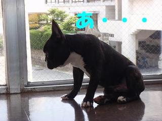 あなたさまは・・・
