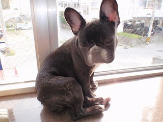 あなたさまは・・・