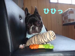 たたかい