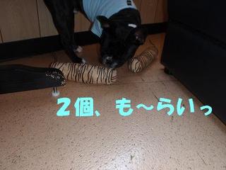 たたかい