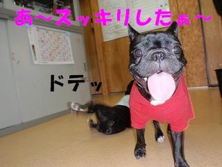たたかい