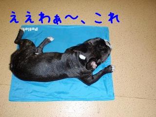 これ、ええわぁ～