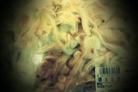 ミミガー 2011/11/28 22:24:25