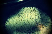 出来たて〜 2011/11/29 22:27:45