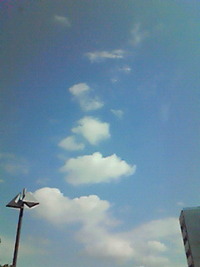 家の中より外があったかい♪
