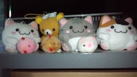 へんっ(~_~メ) 2010/03/06 23:25:04