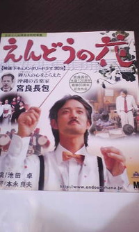 えんどうの花 2010/11/10 15:58:34