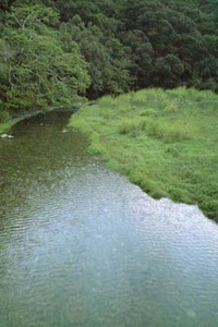 新年明けまして 2011/01/04 18:37:46