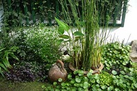 初めまして 2010/05/24 17:53:43
