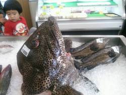 びっくりミーバイ