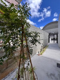 うるま市「みどり町の家Ⅱ」竣工 2024/07/05 18:30:00