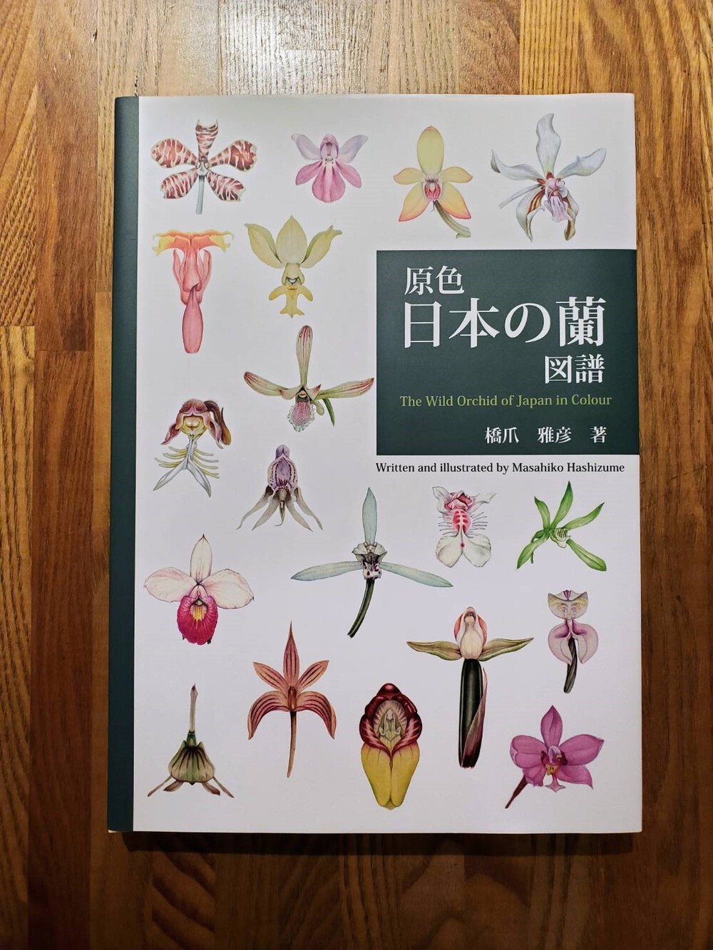 りーふデザインの沖縄住まい日記:美しい蘭を描いた画集 『原色 日本の