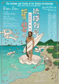 博物館・美術館企画展 『琉球列島いのちのキセキ。地質・化石展』