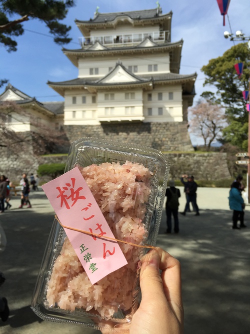 ４月定休日のお知らせ