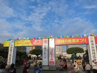 2016年10月24日