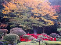 2016年12月02日