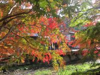 2016年11月28日