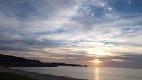 空と海と生きものたちがなぐさめてくれた。