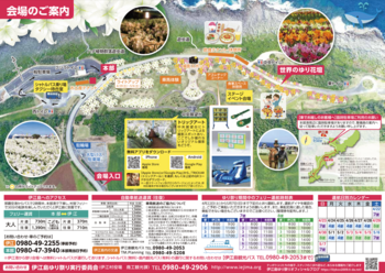 2023年開催決定!第26回伊江島ゆり祭りでたのしめることは?(イベントスケジュール) 2023年開催決定!第26回伊江島ゆり祭りでたのしめることは?(イベントスケジュール)