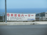 奥武島ハーリー 2011/06/06 11:18:15