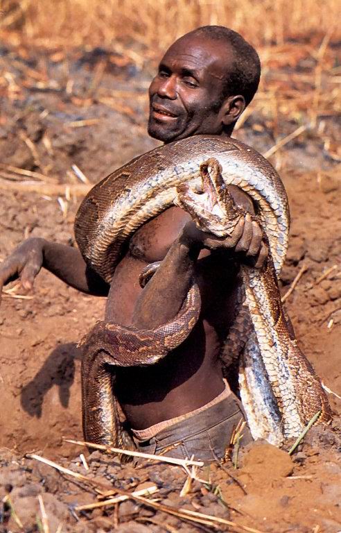 アフリカ人のニシキヘビ狩りを捉えたた驚愕の写真 Lifener ライフナー