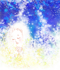 昨晩・・・ 2008/11/13 09:31:27