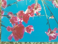 蜷川実花展へ行ってきました