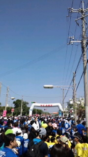 でーじ暑いかった・・なんぶトリム！