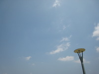痛くても… 2012/04/04 22:02:32